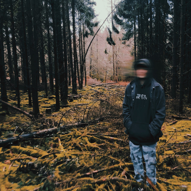 Lost cover art