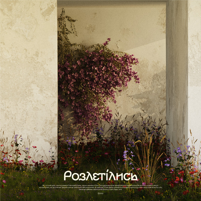 Cover art: Розлетілися — Мирослава Салій