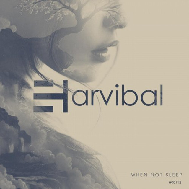 When Not Sleep album art
