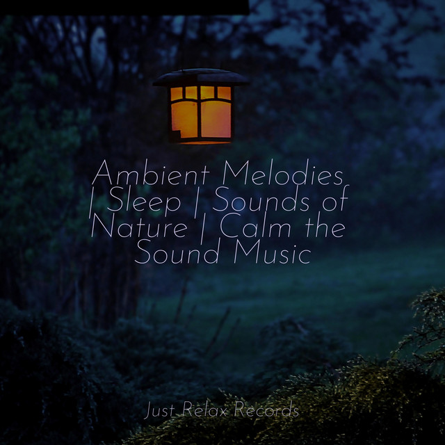 Ambient Melodies | Sleep | Sounds of Nature | Calm the Sound Music ...