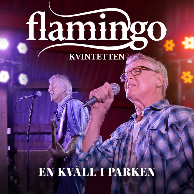 En Kväll I Parken cover art
