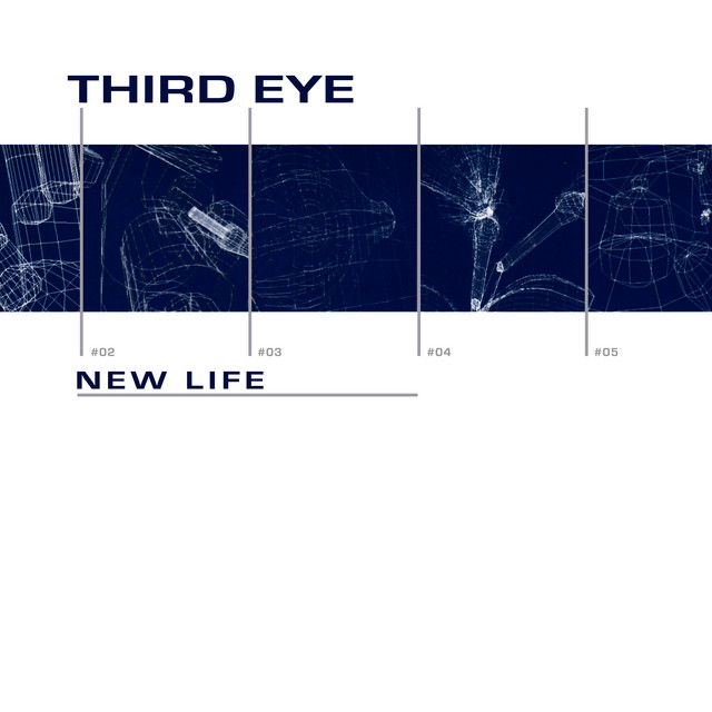 New Life - 12" Mix cover art