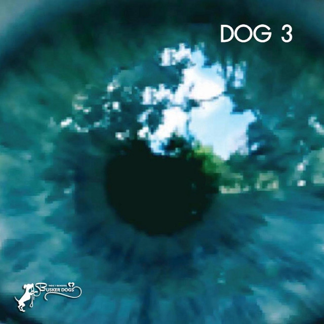 Dog 3 - Album by Busker Dogs | Spotify