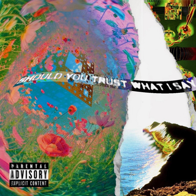 Should U Trust What I Say? cover art