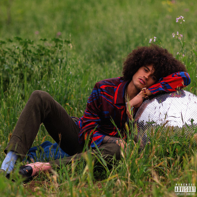 Enjoy the Disco cover art