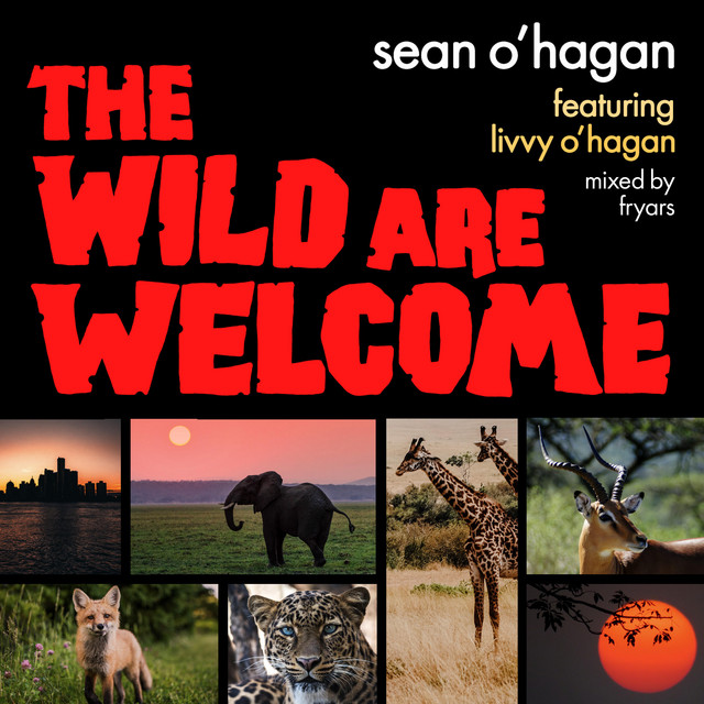 The Wild Are Welcome