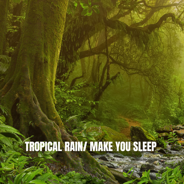 Tropical Rain: Make You Sleep cover art