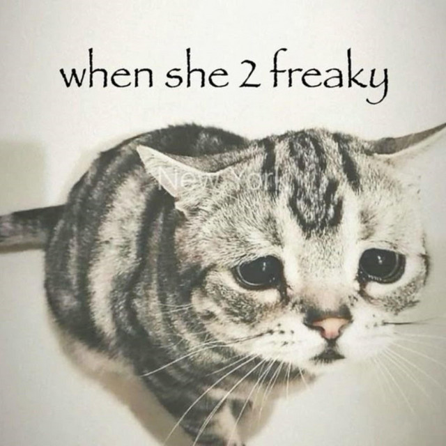Обкладинка треку freaky!