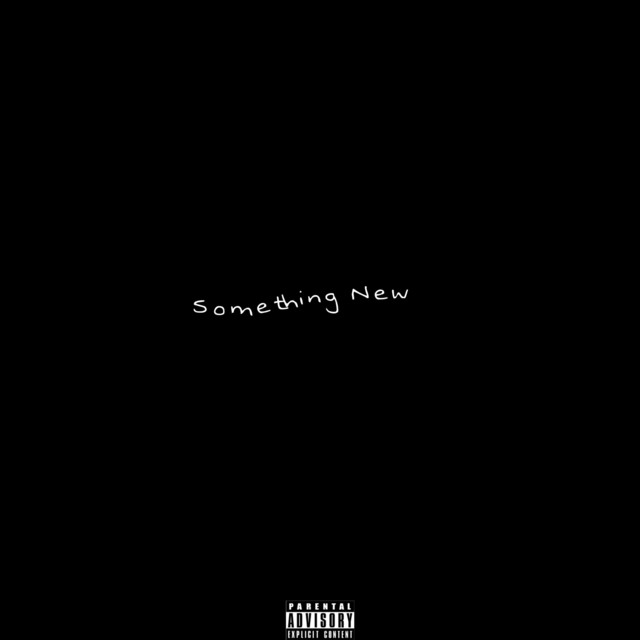 Something New cover art