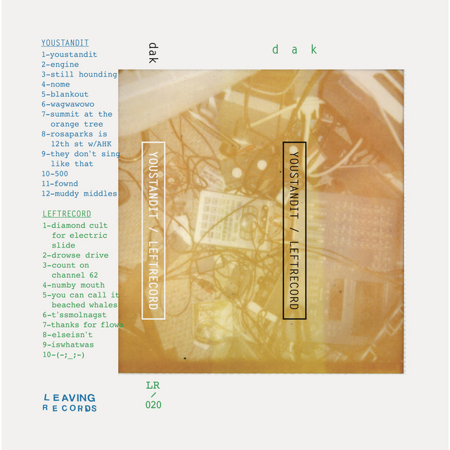 youstandit / leftrecord cover art