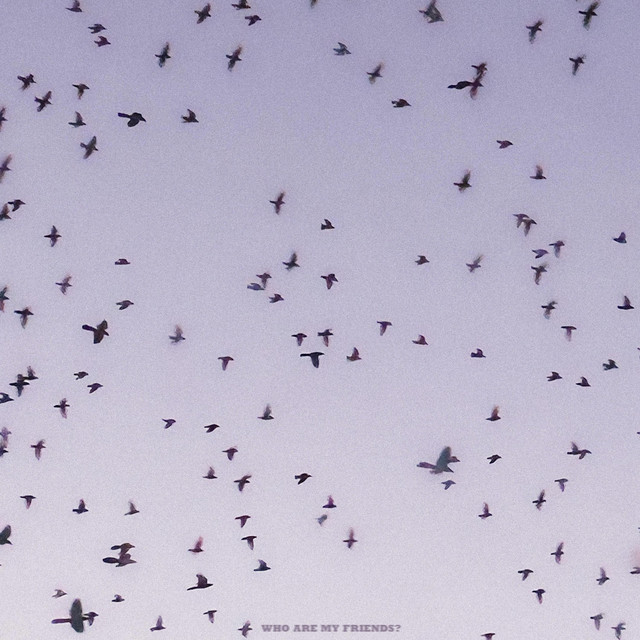 WHO ARE MY FRIENDS? cover art