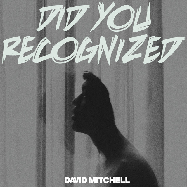 Did You Recognized cover art
