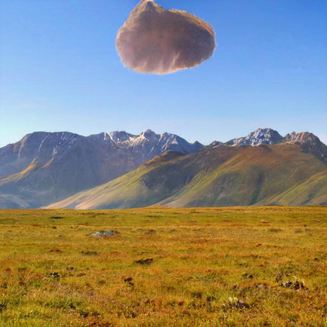 Prairie cover