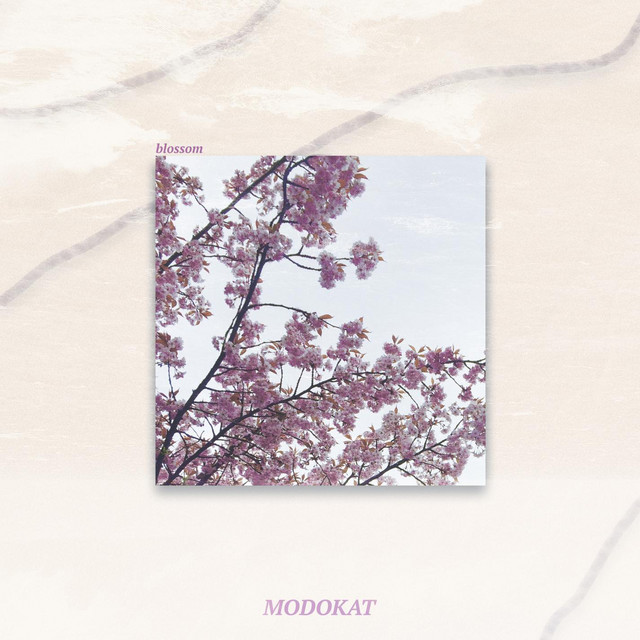 blossom cover art