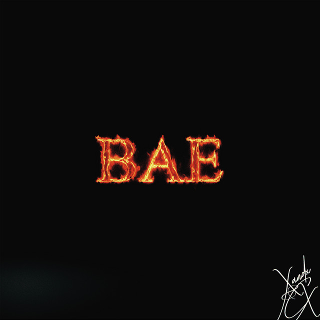 Bae cover art