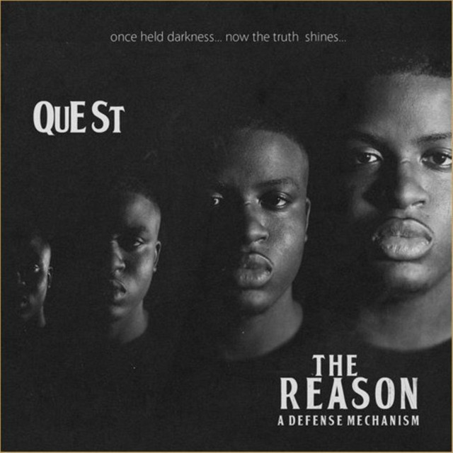 The Reason : A Defense Mechanism cover art