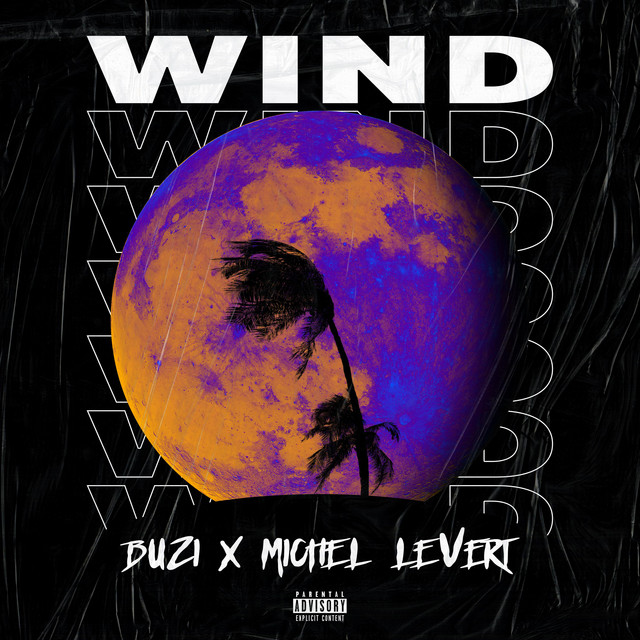 Wind cover art