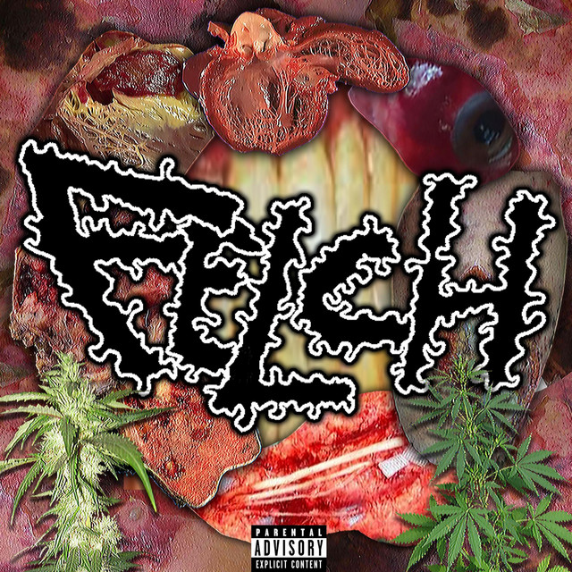 FELCH cover art
