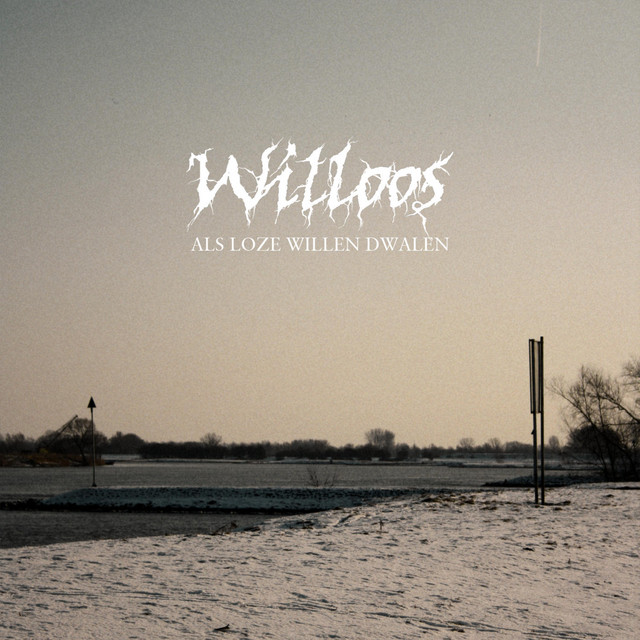 Willoos Photo
