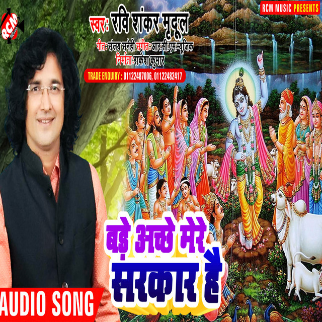 Bade Achhe Mere Sarkar Hai cover art