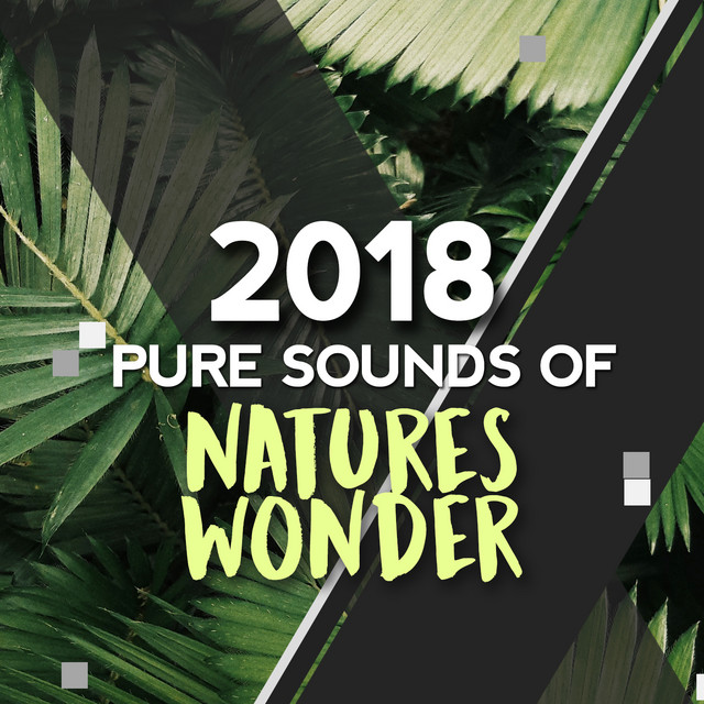 30Pure Sounds of Natures Wonder – Compilação de Natural Sounds | Spotify