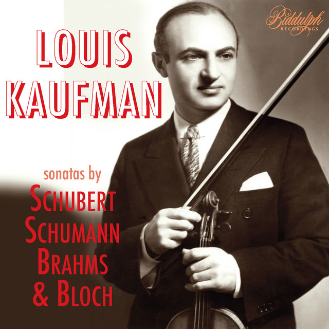 Schubert, Schumann & Others: Violin Sonatas