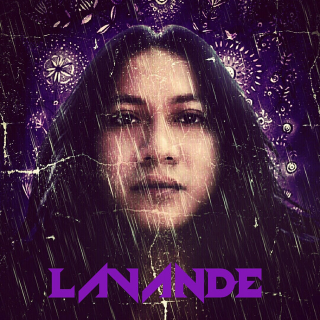 Lavande Photo