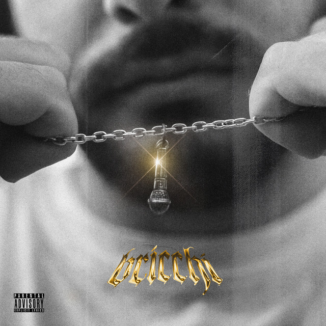 Bricchi cover art