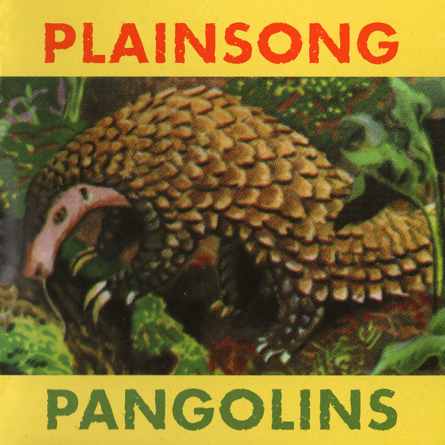Pangolins cover art