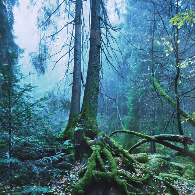 In Harmony