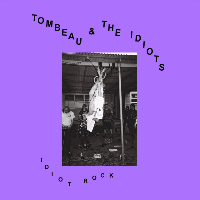 Idiot Rock cover