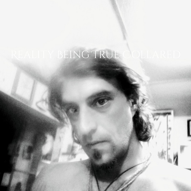 Reality Being True Collared (Si's Musicphoria) - Album by Simon Petroff ...