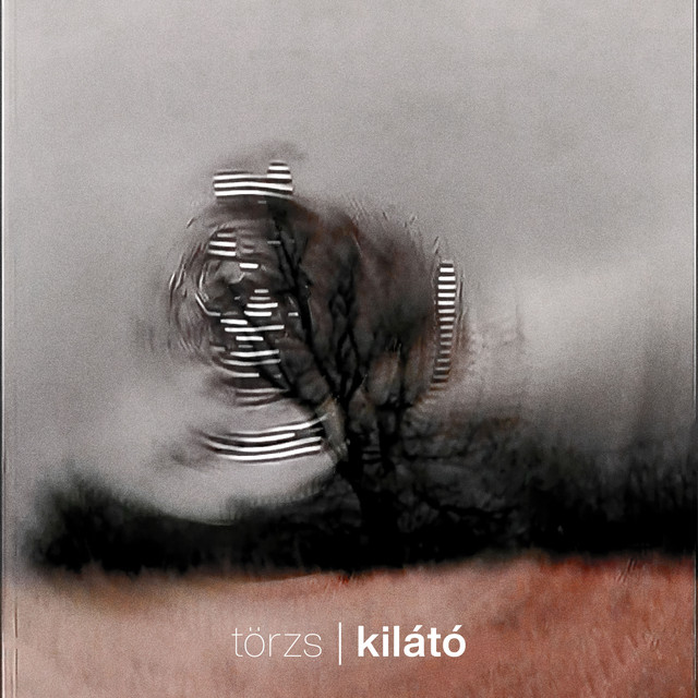 Kilátó (single)