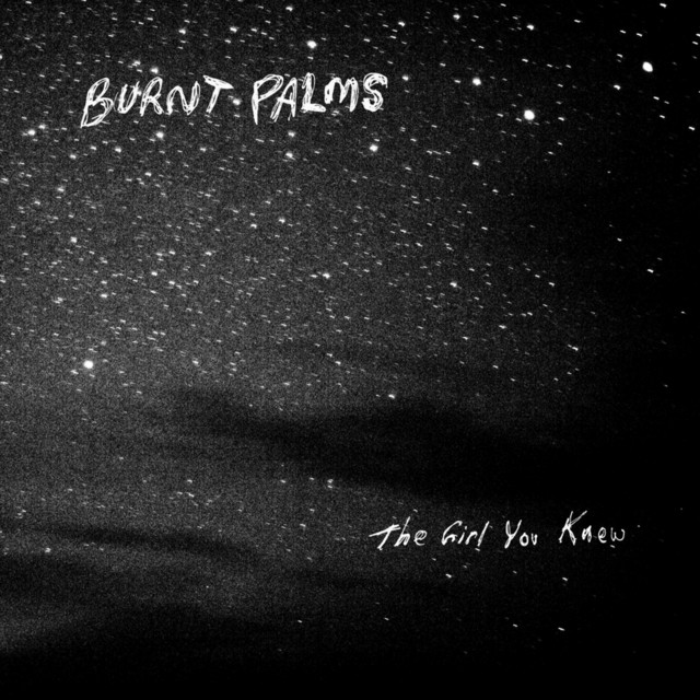 The Girl You Knew cover