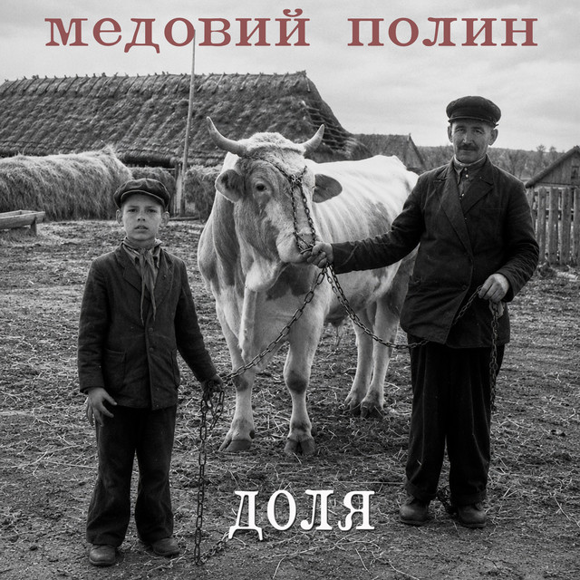 Обкладинка: Доля — Медовий Полин