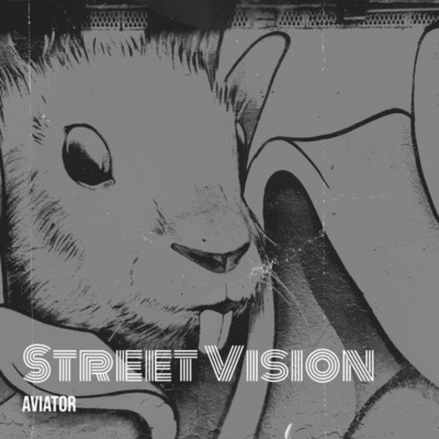 Cover art for AVIATOR — Street Vision