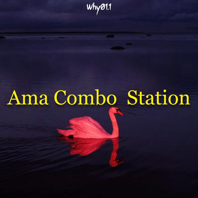 Ama Combo Station cover art
