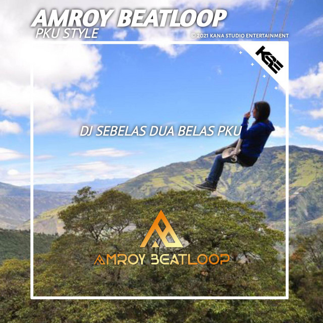 DJ SEBELAS DUA BELAS PKU STYLE cover art