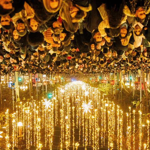 Barcelona Christmas Lights cover