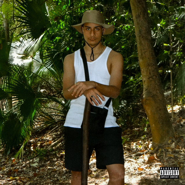 Afroswing cover art