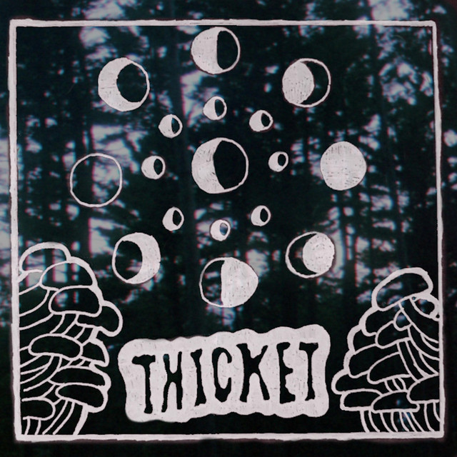 Thicket