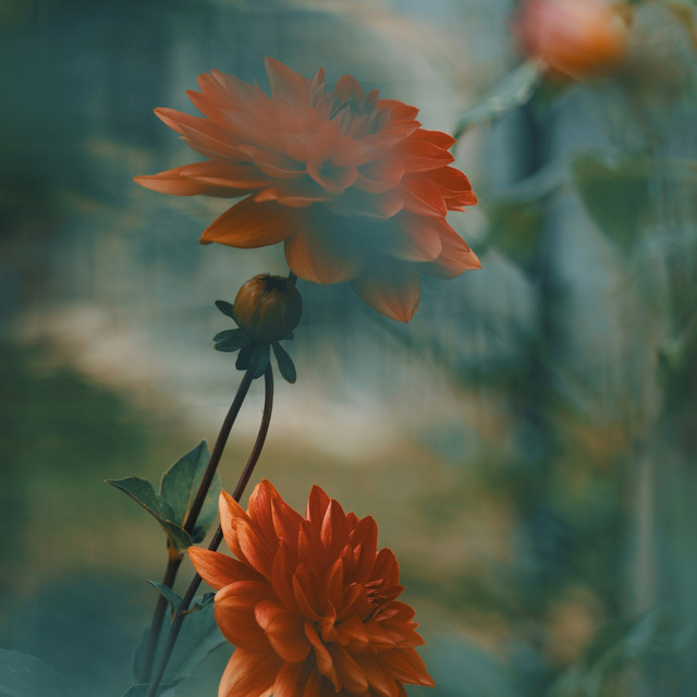 Album cover for Atmosphere by ZenithEcho