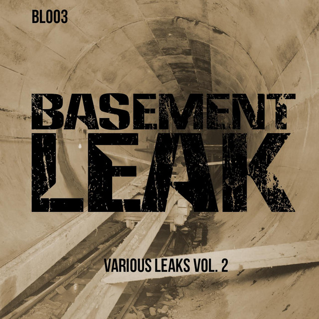 Various Leaks, Vol.2 cover