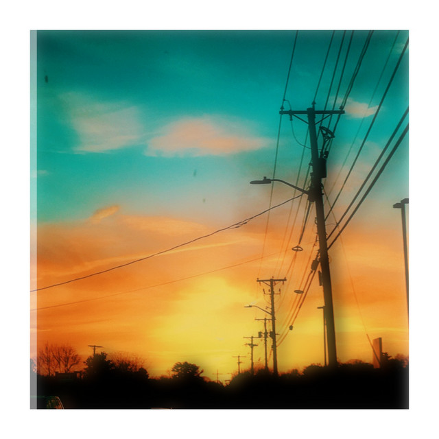 words in reverse cover art