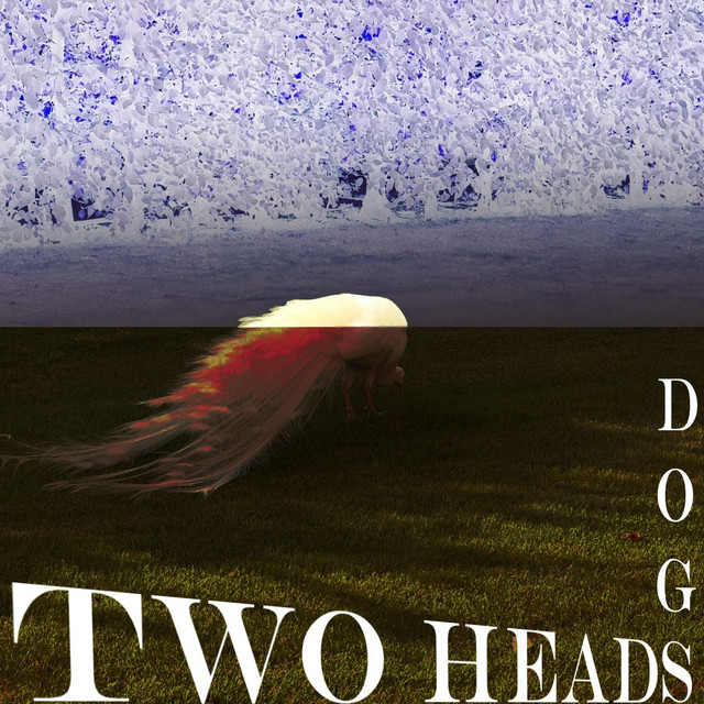 Dogs cover