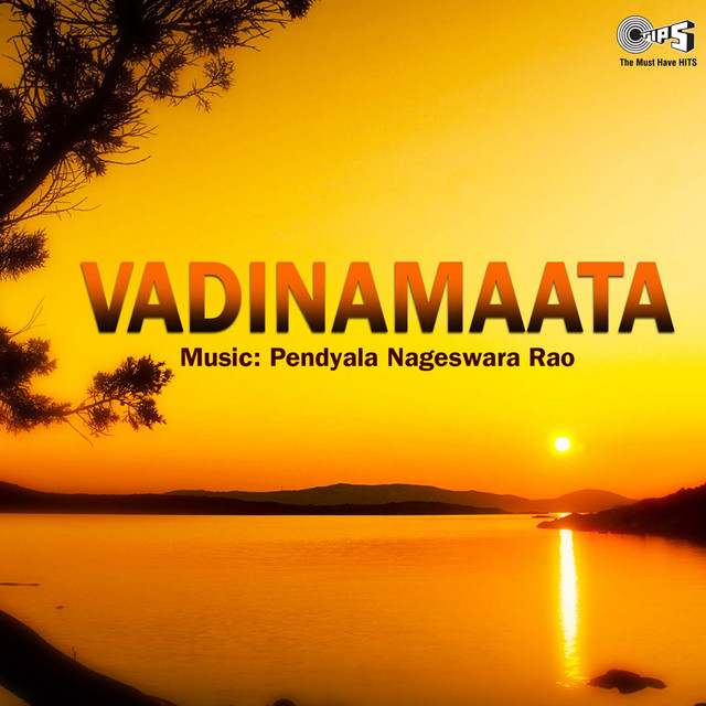 Ein Chaakka Naina Vindu cover art