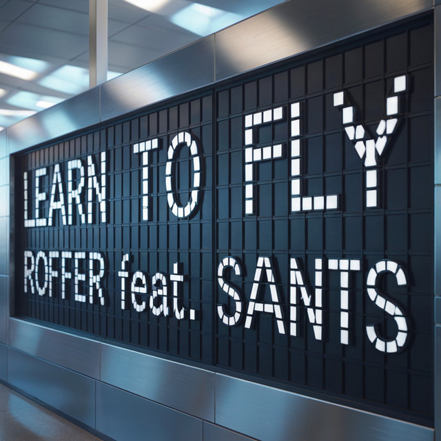 Learn to Fly cover