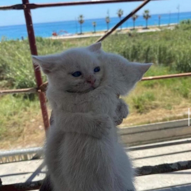 i need u