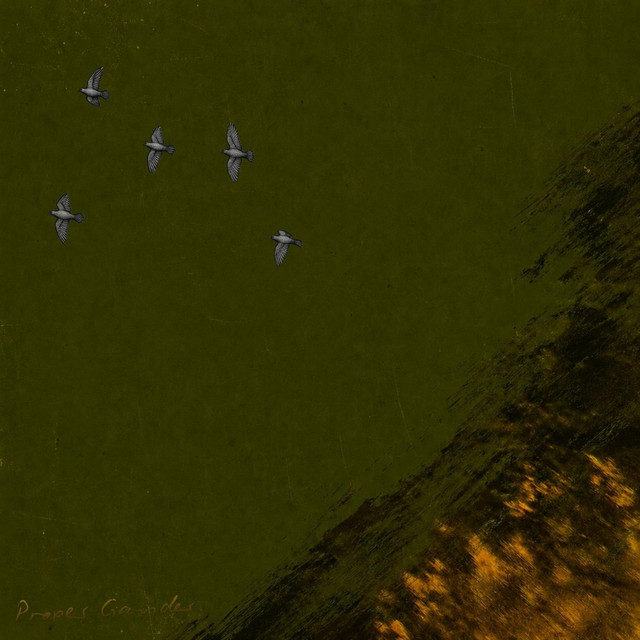 Proper Gander cover art