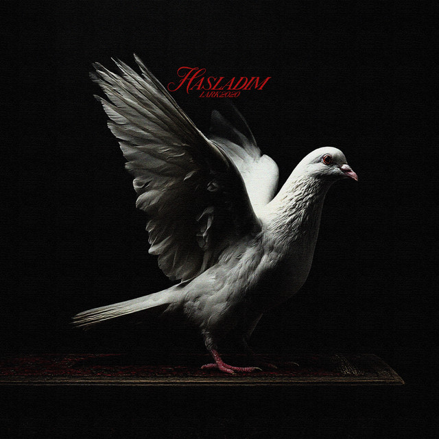 haşladım cover art
